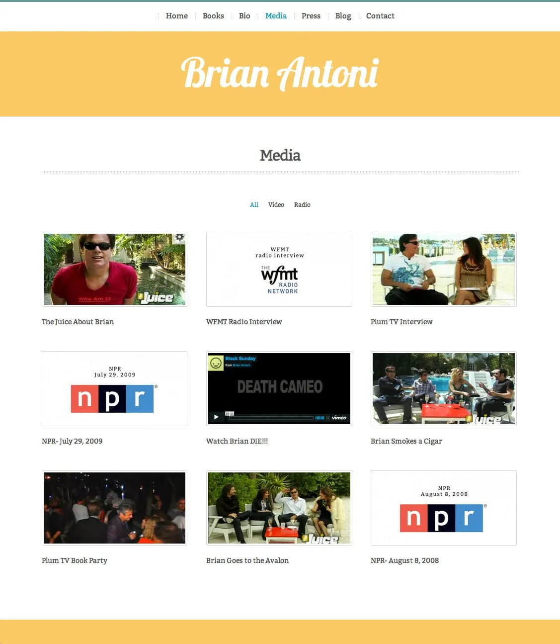 wordpress website