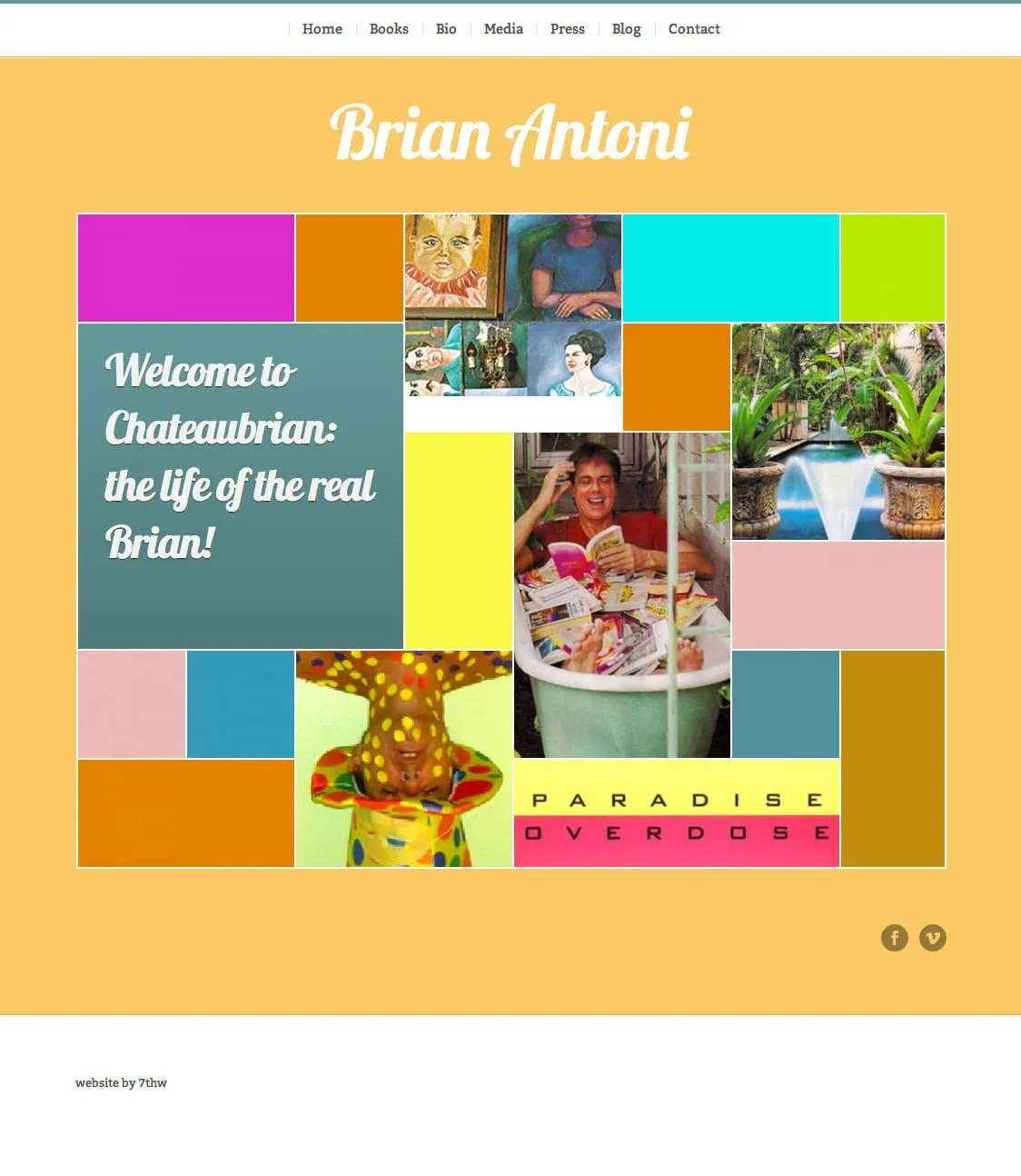 wordpress website