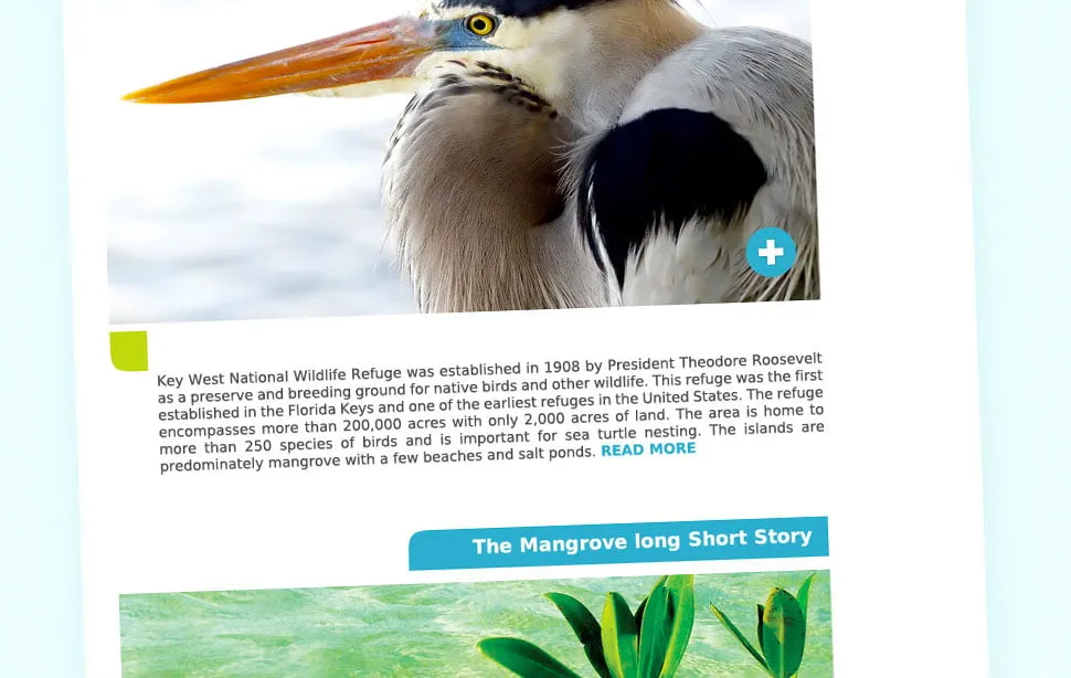 key west eco tours