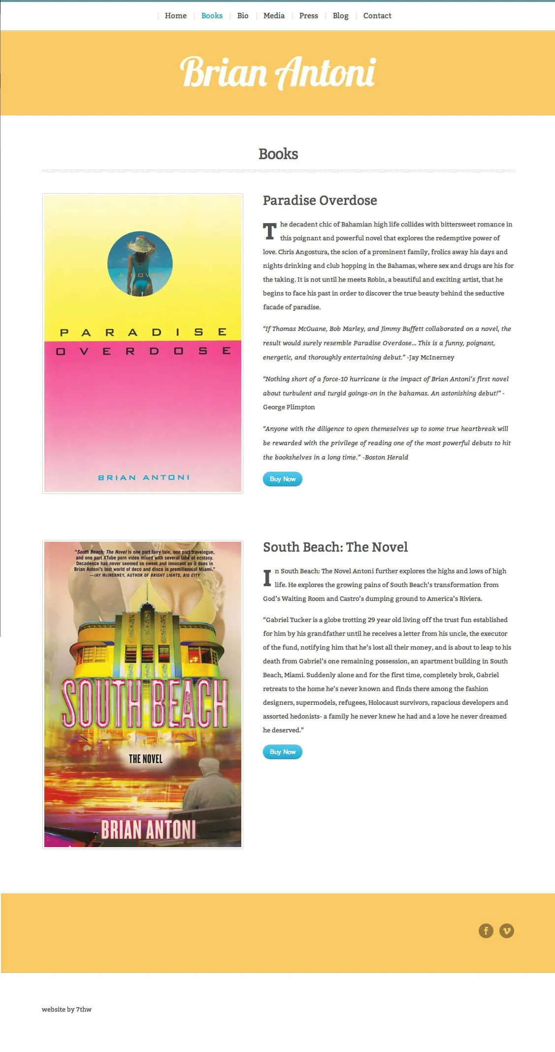 wordpress website