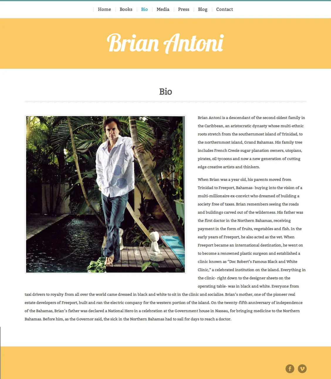 wordpress website